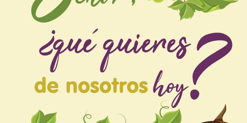 programa confer 21 22
