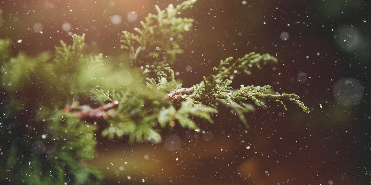 winter-gad00b1738_1280