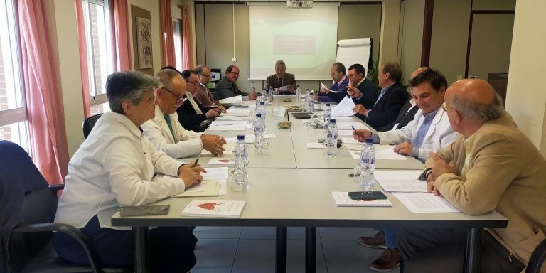 Reunion-del-patronato-de-la-fundacion-Camilo-de-Lellis-768×576