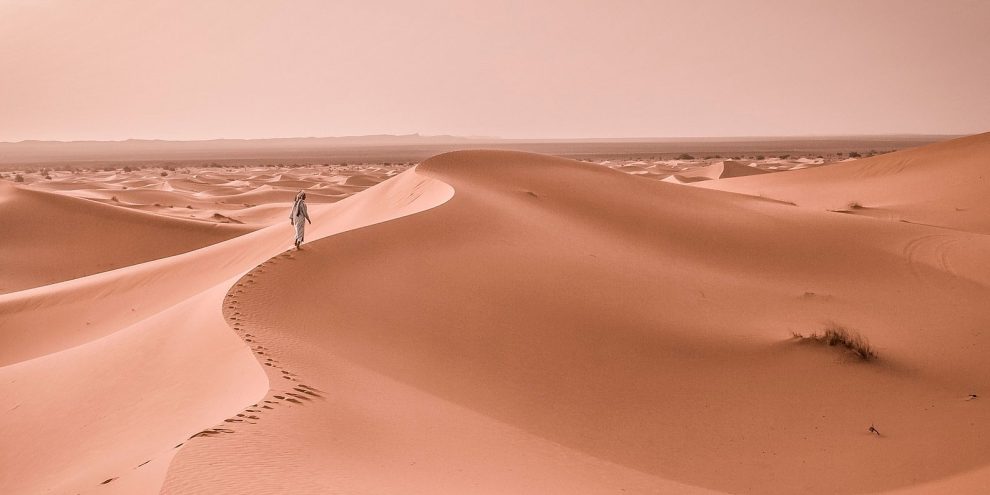 Quaresma desert, conversió i llibertat