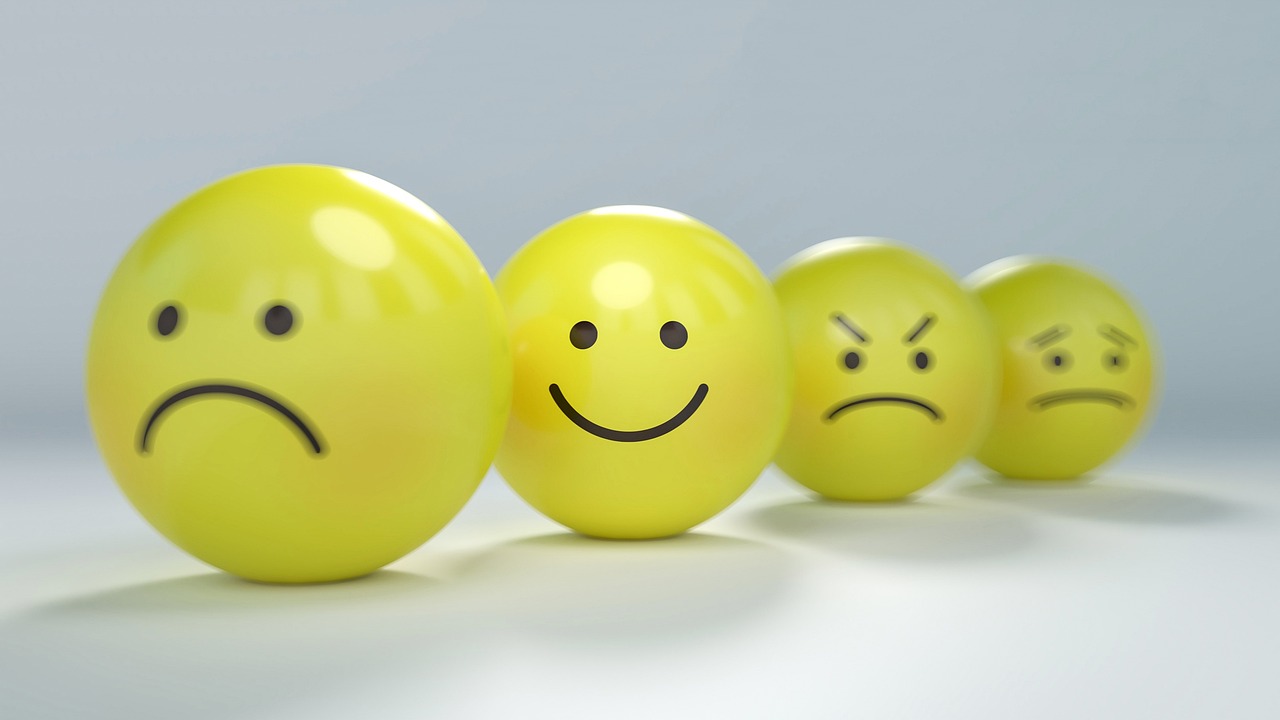 Les emocions, una manera d'ordenar la vida