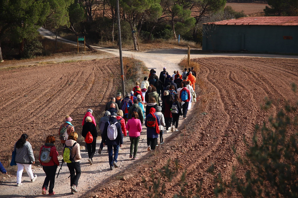 El Govern acorda la creació d'un grup de treball per impulsar l'elaboració del Pla del Camí Ignasià 2026-2029