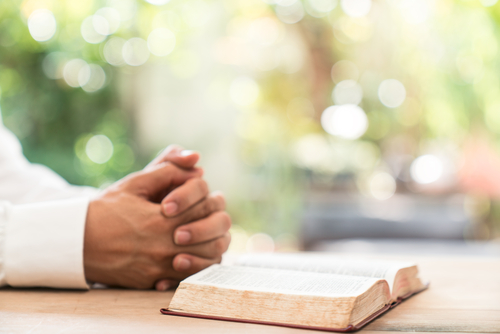Programa de formació per a Juniores o Religioses joves