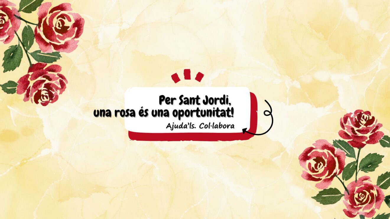 La Fundació Comtal impulsa la campanya #UnaRosaUnaOportunitat per garantir l’accés a l’educació