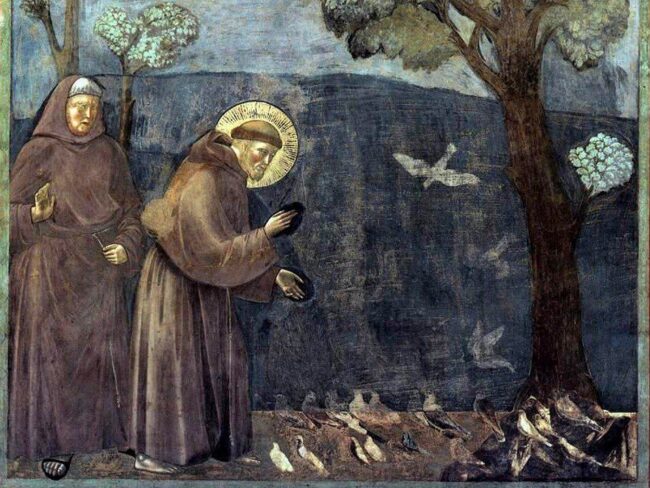 El Bisbat de Tortosa convida a viure l’Any Jubilar Franciscà com un temps de renovació evangèlica