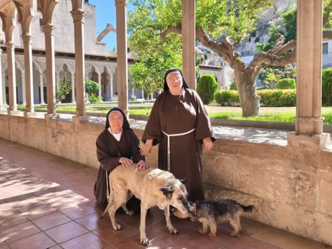 Les clarisses de Tortosa en l’Any Jubilar de Sant Francesc