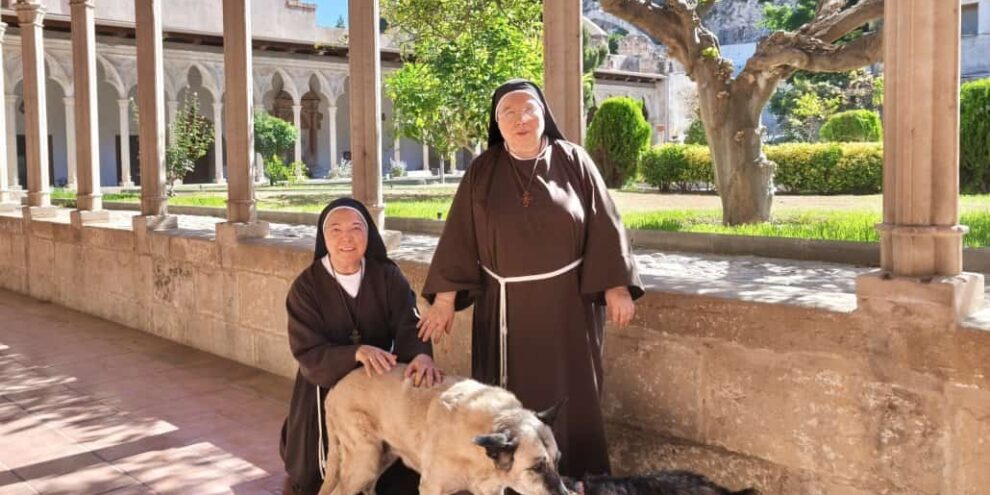 Les clarisses de Tortosa en l’Any Jubilar de Sant Francesc
